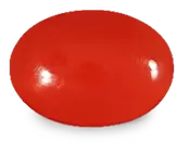 Red Coral